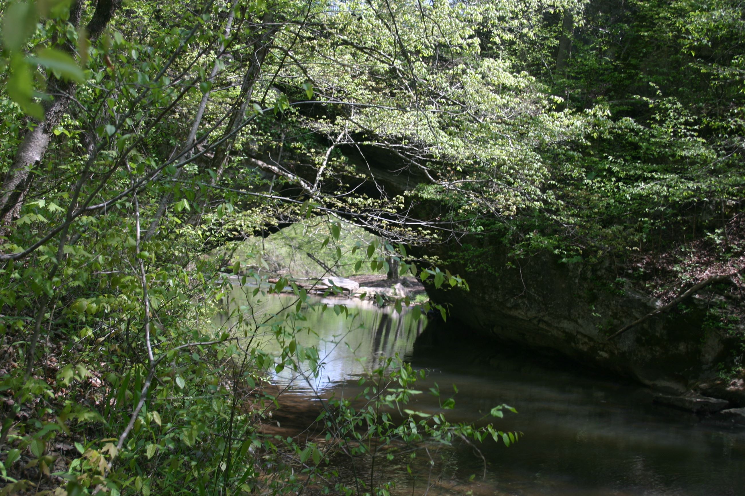 Natural Bridge at Gallant